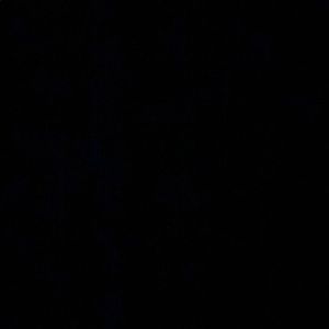 Meet your Posher, Jose